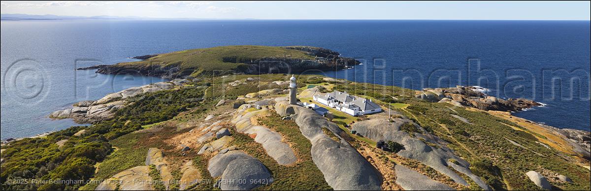 Peter Bellingham Photography Montague Island - NSW (PBH4 00 9642)